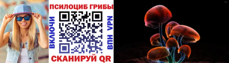Галлюциногенные грибы Magic Shrooms  Купить  Шагонар 