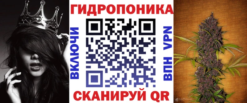 Купить где  Шагонар  Бошки марихуана планчик 